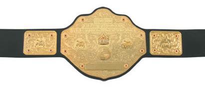 wcwchampbelt.jpg